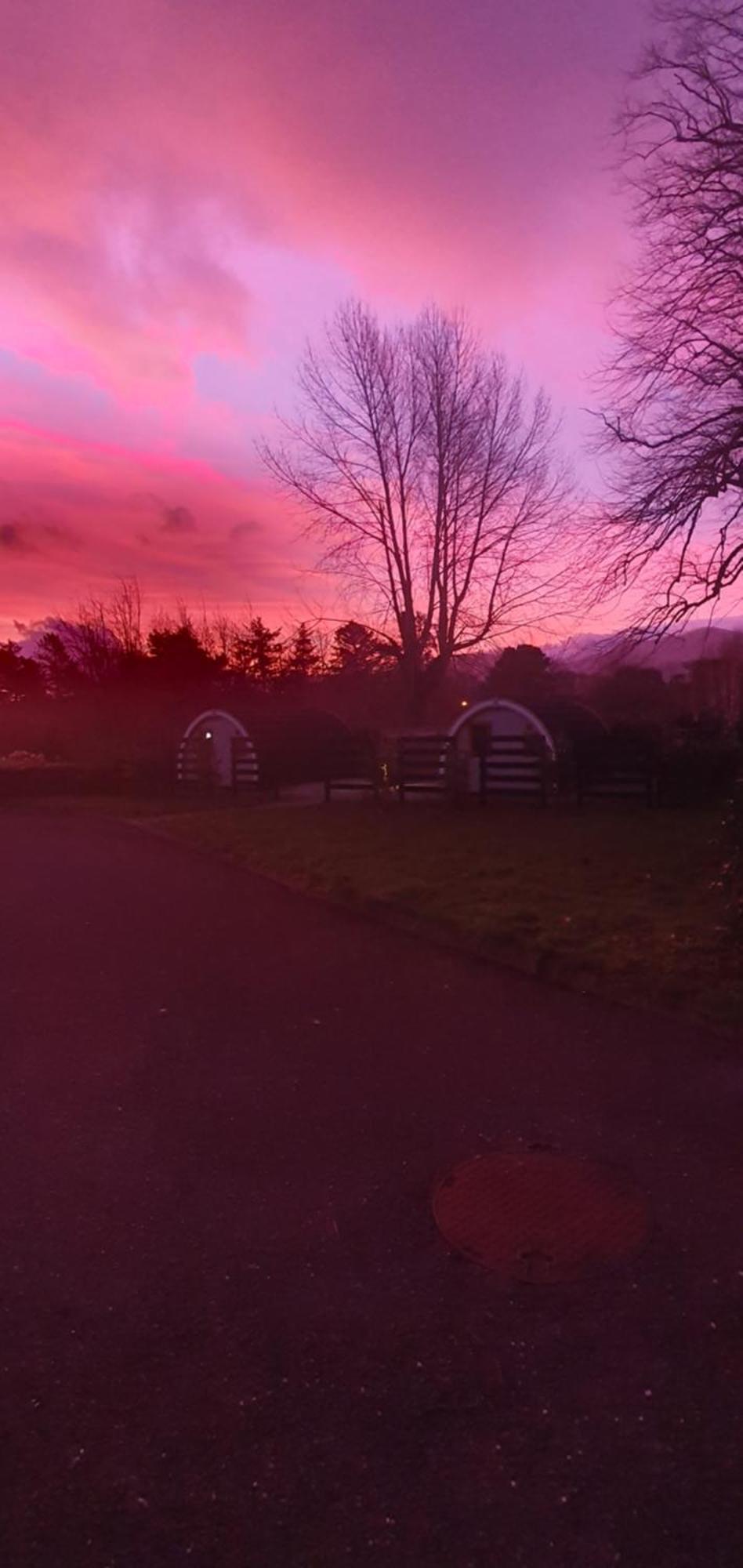 Priory Glamping Pods And Guest Accommodation Killarney Exterior foto